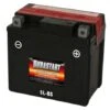 Durastart Rugged AGM Powersport Battery - 12V - 5L-BS -Deals L&M Supply Store 2390310