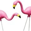 Bloem Living Classic Pink Flamingos, 2 Pack -Deals L&M Supply Store 615qy0hoasl. ac sl1500
