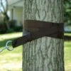 Algoma Hammock Hanging Tree Strap Kit -Deals L&M Supply Store 77420005