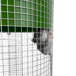 Billy Bob Multi-Catch Mouse Trap -Deals L&M Supply Store mouse climbing side 500x500 1 removebg preview