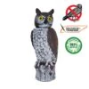 Dalen 18" Owl With Rotating Head -Deals L&M Supply Store rho 4 rotating head owl new 2048x